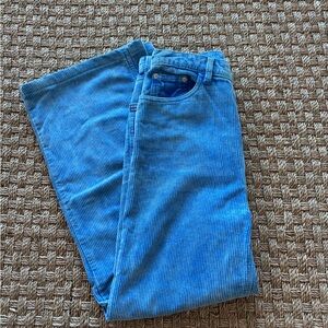 Urban Outfitters BDG Women's Blue Corduroy High & Wide Pant Size 27